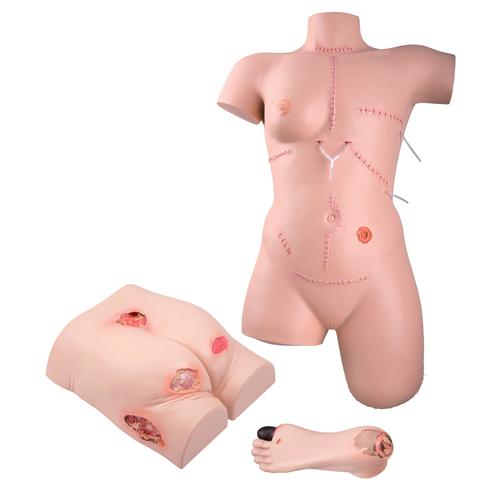 Wound Care Basic Set, 8000880 [3011907], Anatomy Sets