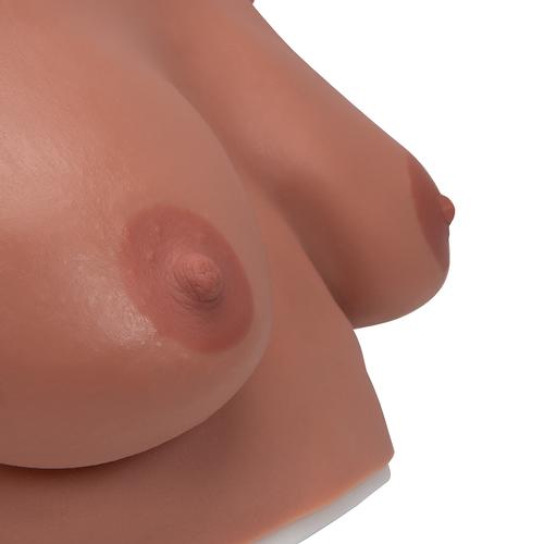 Wearable Breast Self Examination Model,
Light Skin, 1000343 [L51], Breast Models