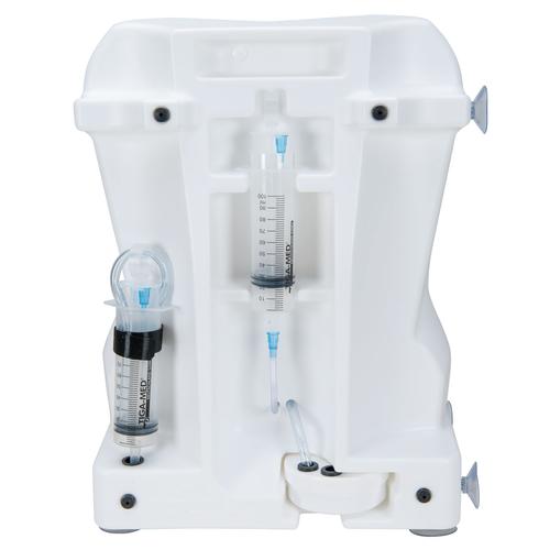 Epidural and Spinal Injection Trainer, Light Skin, 1017891 [P61], Epidural and Spinal