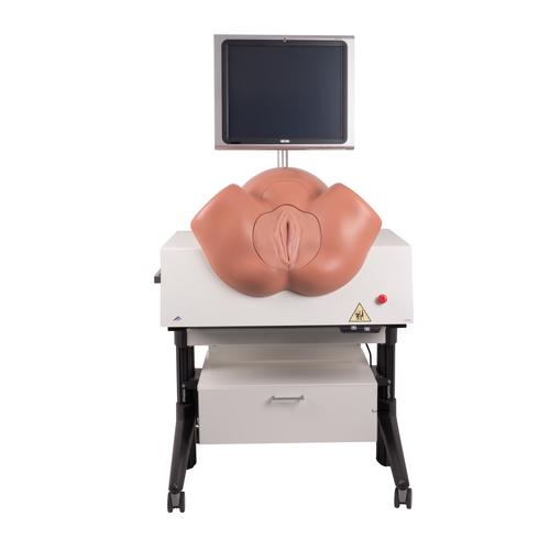 NEW SIMone Birthing Simulator, 1019599 [P80/1], Obstetrics