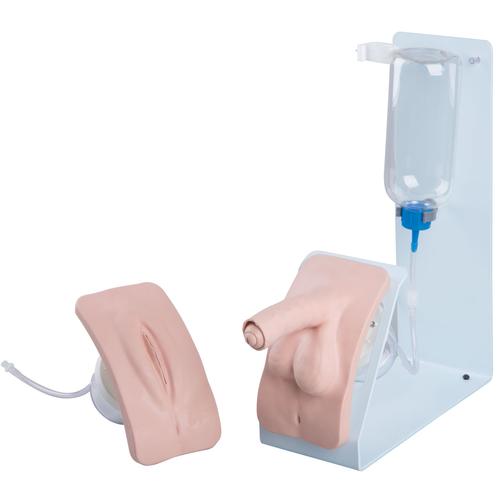 Catheterization Simulator Set Basic, Light Skin , 1020842 [P93B-S], Catheterization