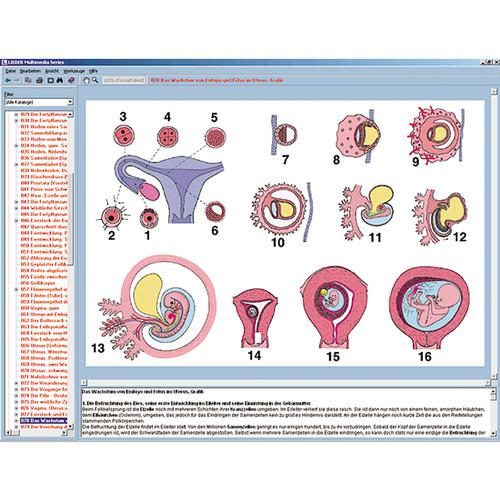 Reproduction and sex instruction; Interactive CD-ROM, 1004279 [W13510], Biology Software