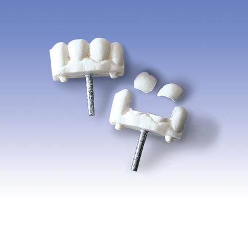 Front Teeth, set of 3, 1005397 [W30510], Airway Management Adult