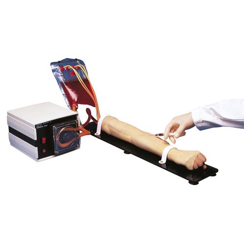 Arterial Stick Exercises and Injection Arm 115V, 1005810 [W45093], Injections and Punctures