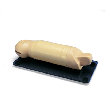 Reproductive Implant Training Arm, medium skin tone, 1012451 [W45155], Gynecology