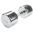 CHROME Dumbell 10KG, 1016594, Weights