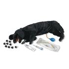 Basic Sanitary CPR Dog, 1025096, BLS and CPR Accessories