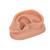 Acupuncture Ear, right, 1000375 [N15/1R], Ear Models (Small)