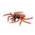 Castor Bean Tick (Ixodes ricinus), Model, 1000525 [R50], Zoological Diseases (Small)