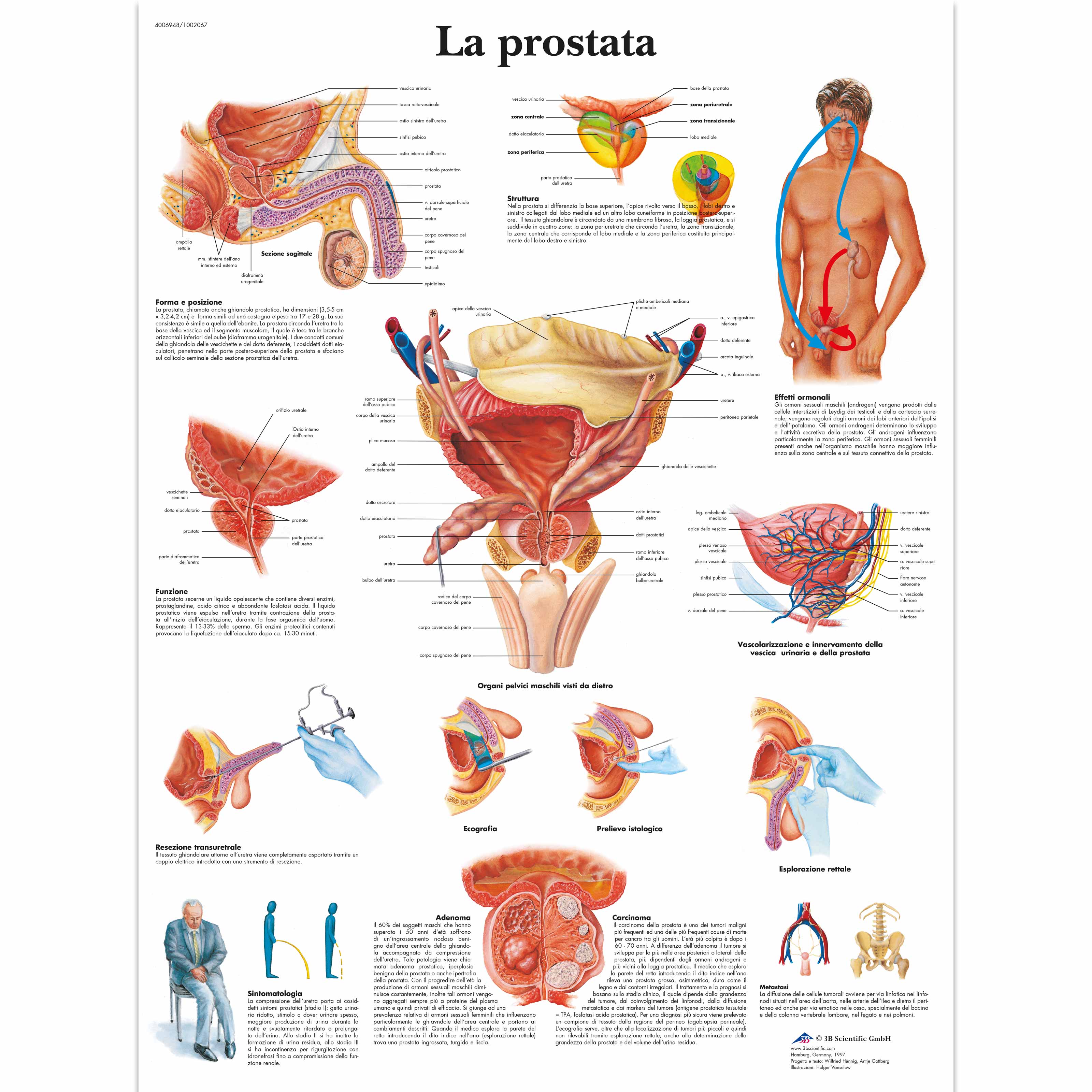 cele mai moderne metode de tratare a prostatitei